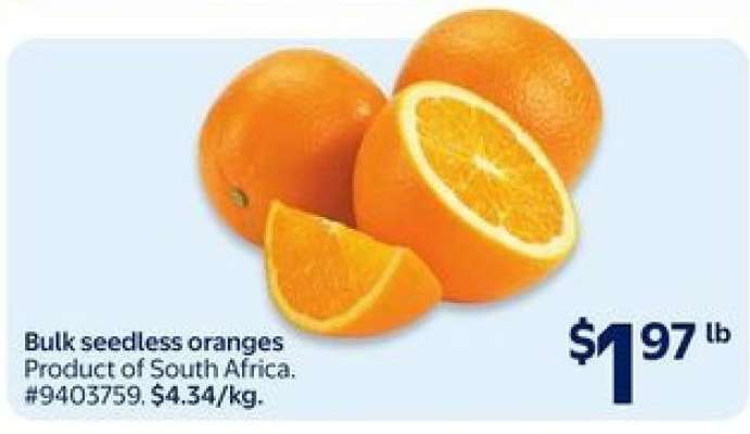 Bulk Seedless Oranges