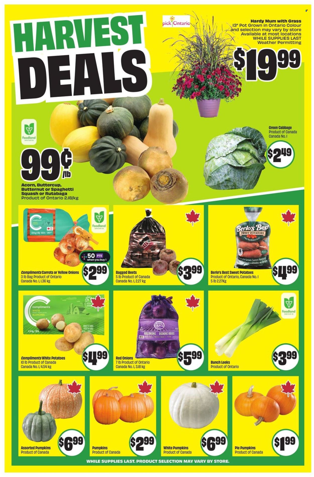 Circulaire FreshCo. - 11 Septembre 2025 - 17 Septembre 2025. Page 5