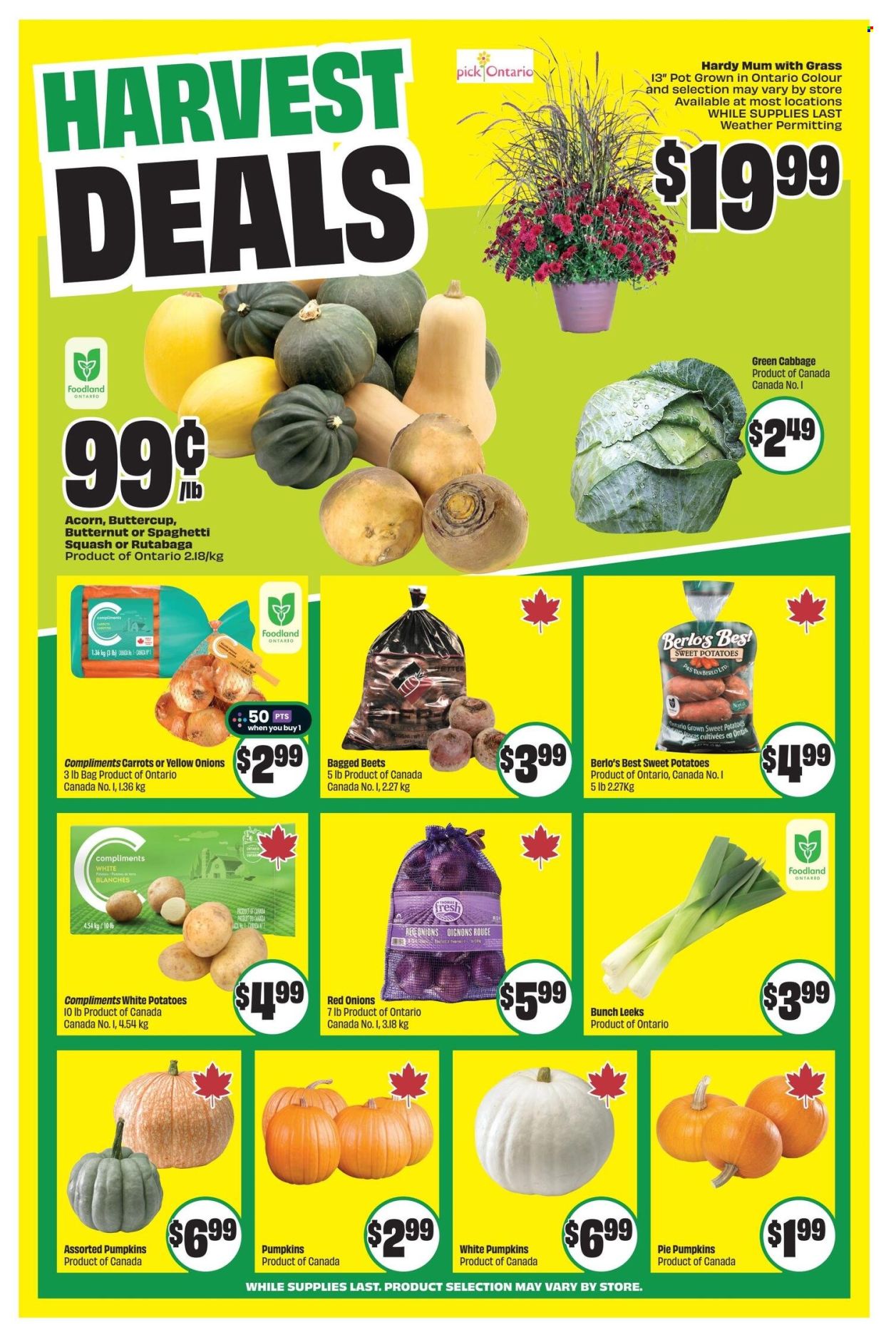 Circulaire Chalo! FreshCo. - 11 Septembre 2025 - 17 Septembre 2025. Page 5